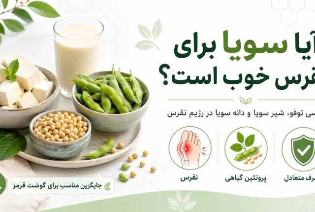 آیا سویا برای نقرس خوب است