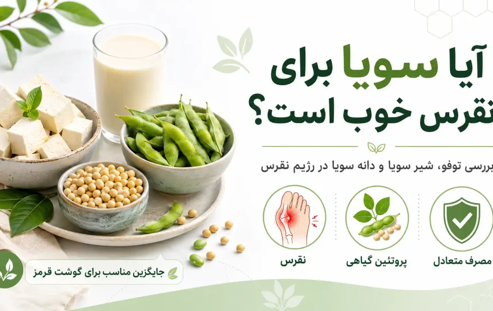 آیا سویا برای نقرس خوب است